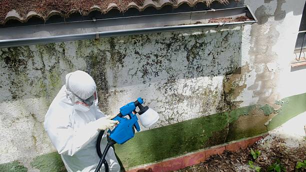 Clearance testing in Somerset